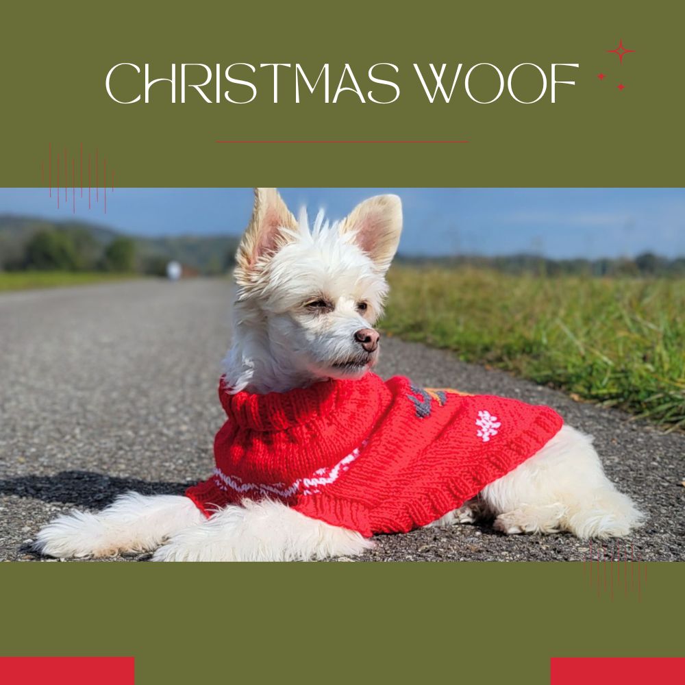 Knitting pattern CHRISTMAS WOOF