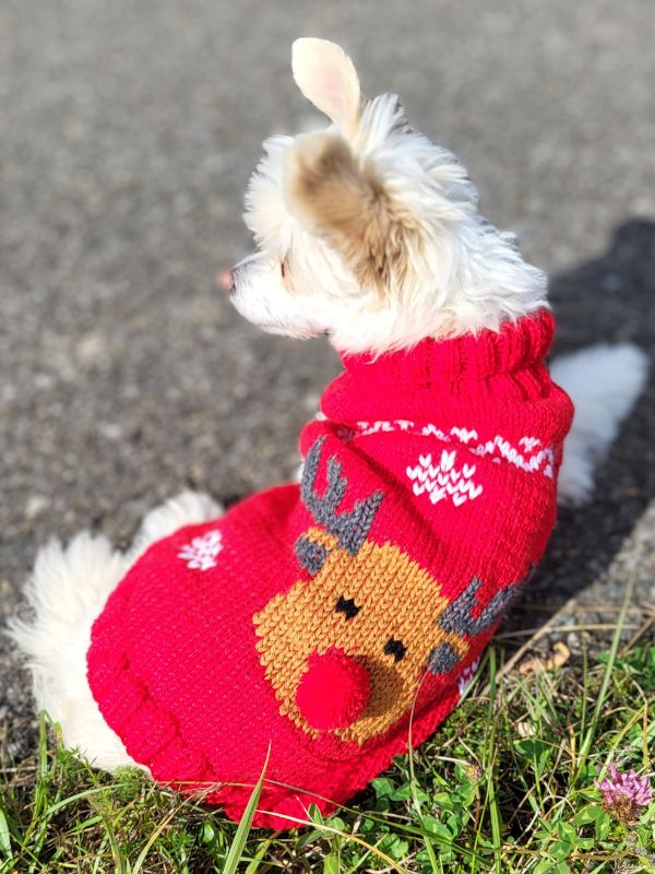 Istruzioni per il lavoro a maglia CHRISTMAS WOOF