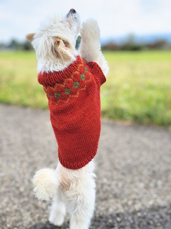 Knitting pattern COUNTRY WOOF