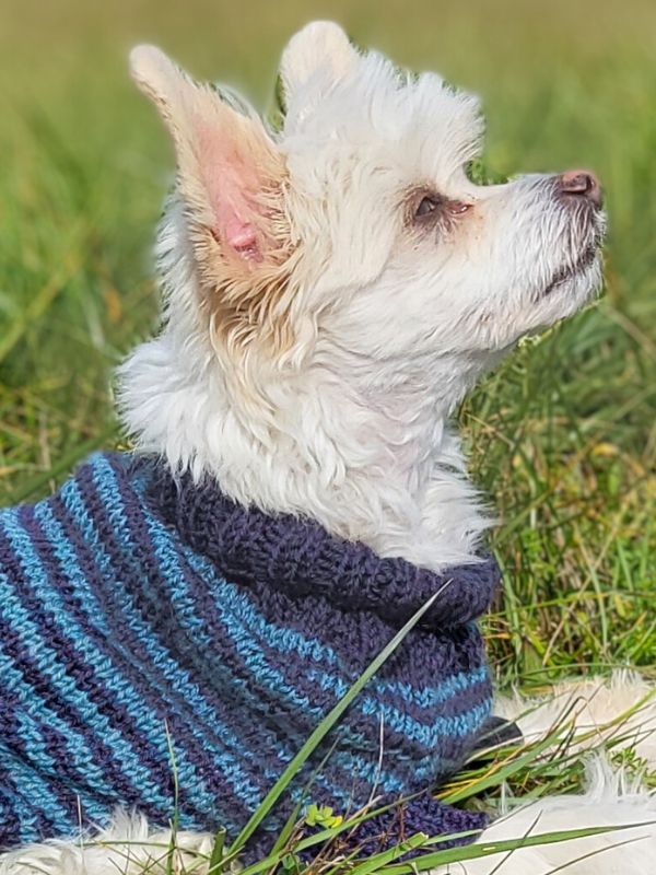 Knitting pattern MARITIME WOOF