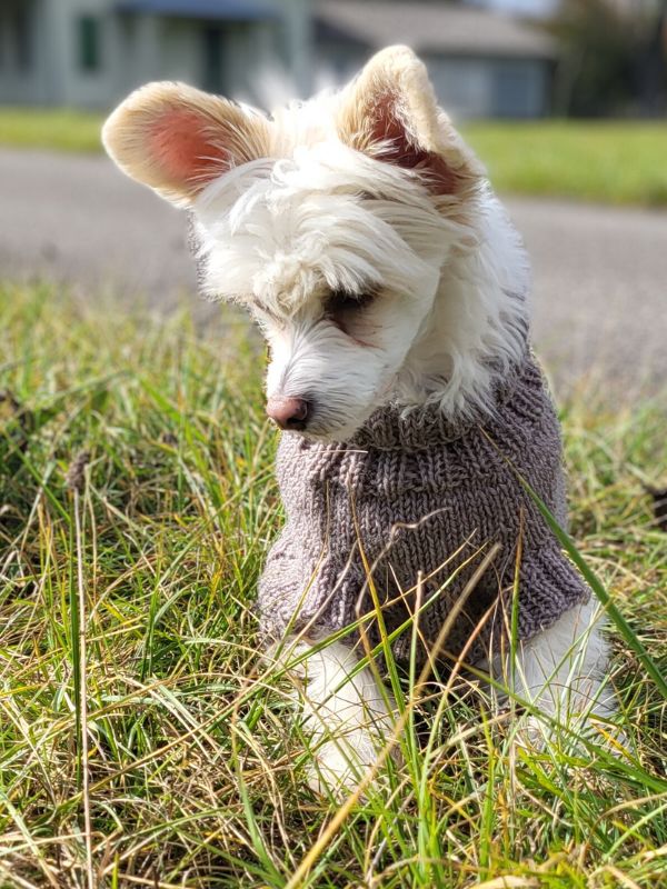 Istruzioni per il lavoro a maglia TWEED WOOF