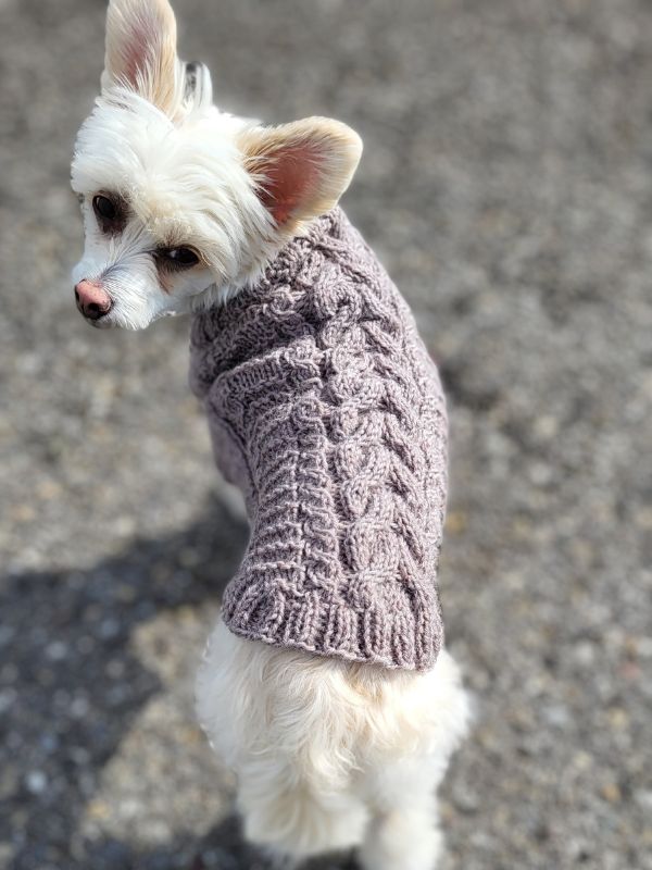 Knitting pattern TWEED WOOF